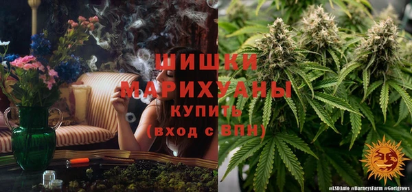 скорость Белокуриха