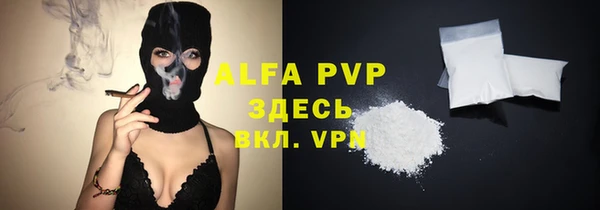 прущие грибы Белоозёрский