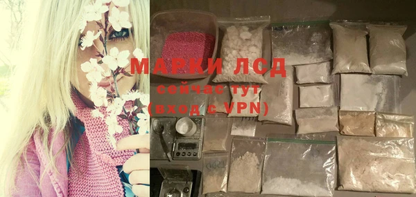 прущие грибы Беломорск
