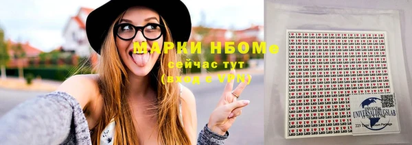 прущие грибы Беломорск