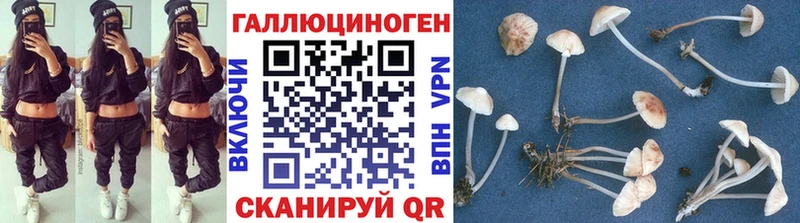 Галлюциногенные грибы GOLDEN TEACHER  Кохма 